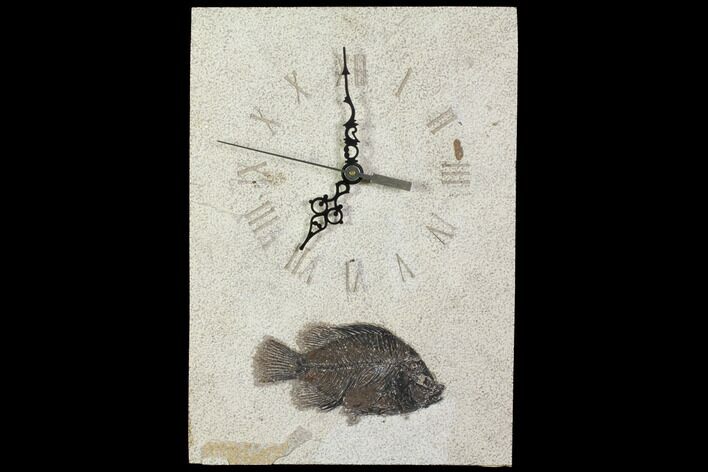 Tall Clock With Cockerellites Fish Fossil - Wyoming #114320
